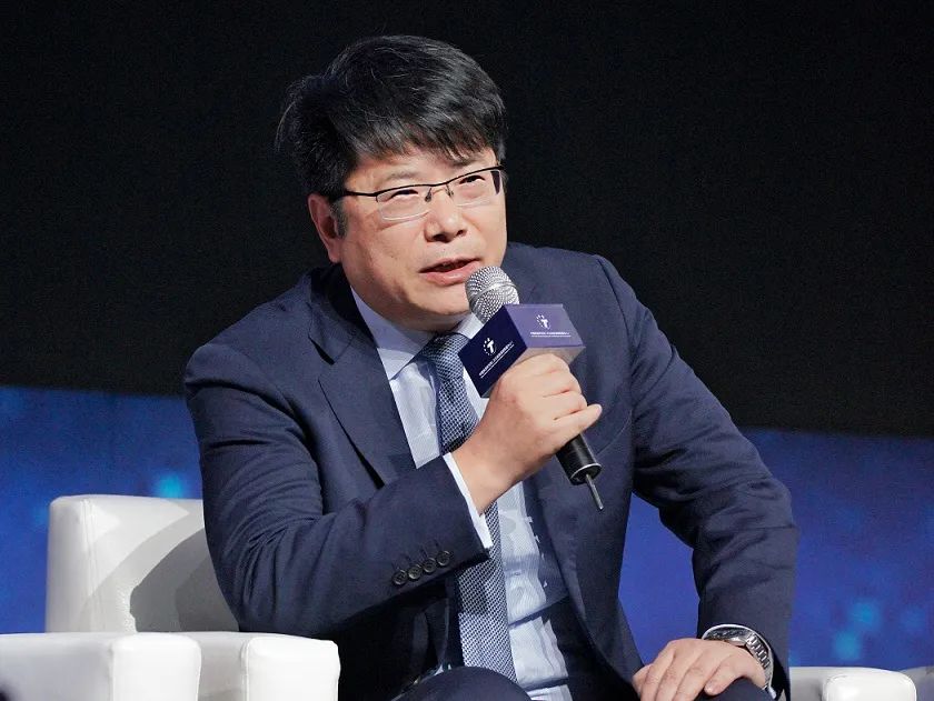 中国旅游研究院院长,文化和旅游部数据中心主任戴斌 本人供图