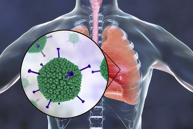 从免疫学的角度，预测这场新型肺炎究竟还会持续多久2