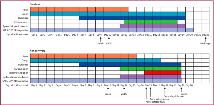 　　图中显示了幸存的和死亡的新冠肺炎住院患者的主要症状、结局和病毒排毒时间等临床病程。还有主要症状的中位持续时间、并发症的开始时间和结果。