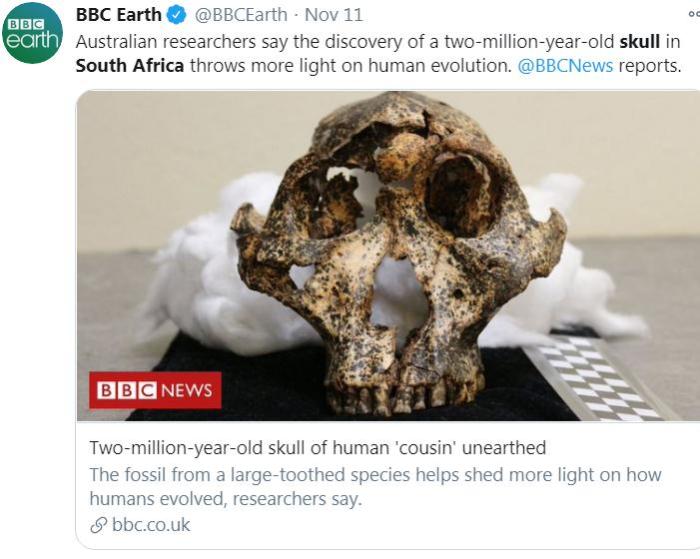 图片来源：BBC地球频道（BBC Earth）社交网站官方账号截图