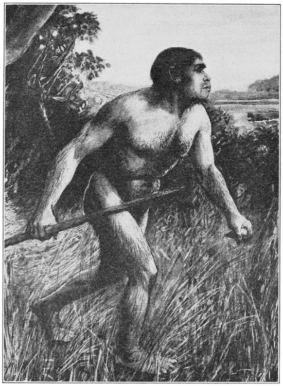 　道氏曙人想象图 |  Wikimedia Commons