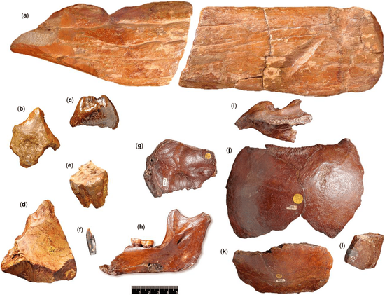 　　道森发现的人类头骨碎片和一些工具 | Dean et al。 / Geological Society London Special Publications （2015）