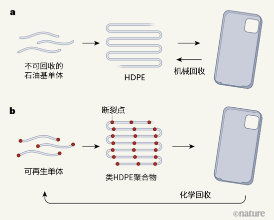 图1 | 重新设计高密度聚乙烯（HDPE）。a，工业级HDPE是一种广泛使用的塑料，由具化学惰性的聚合物组成，该聚合物由不可再生的石油基单体形成。尽管对其可以进行机械式回收再利用（通过熔融和再加工），但会导致材料性能的下降。b， Häußler等人[5]报道了一种具有与HDPE相当性能的新型塑料，由从可再生植物或微藻类中获得的单体构成。该单体在其每个末端都具有特定官能团，可在最终的聚合物链中形成“断裂点”。这些断裂点将允许该聚合物通过化学回收变回其单体形式，然后可被用来重新制造塑料。作者们用这种塑料做出了各种物件，比如手机壳，并证明了该塑料的性能不会因循环使用而降低
