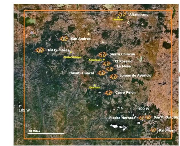 君主斑蝶在墨西哥的过冬地点分布 | 图源：iBiology