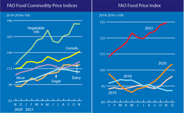 联合国粮农组织食品价格指数走势图（以2014-2016年均值为基准）